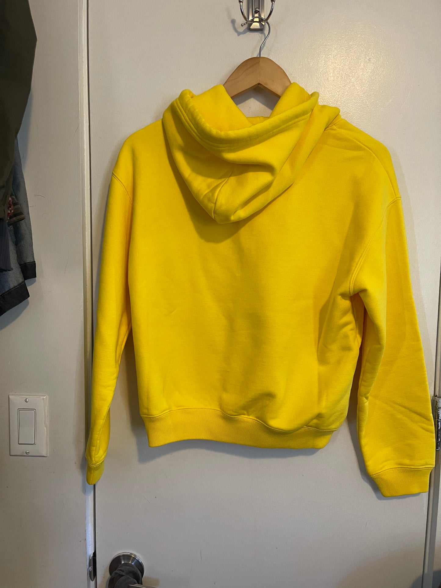 Balenciaga X rated hoodie