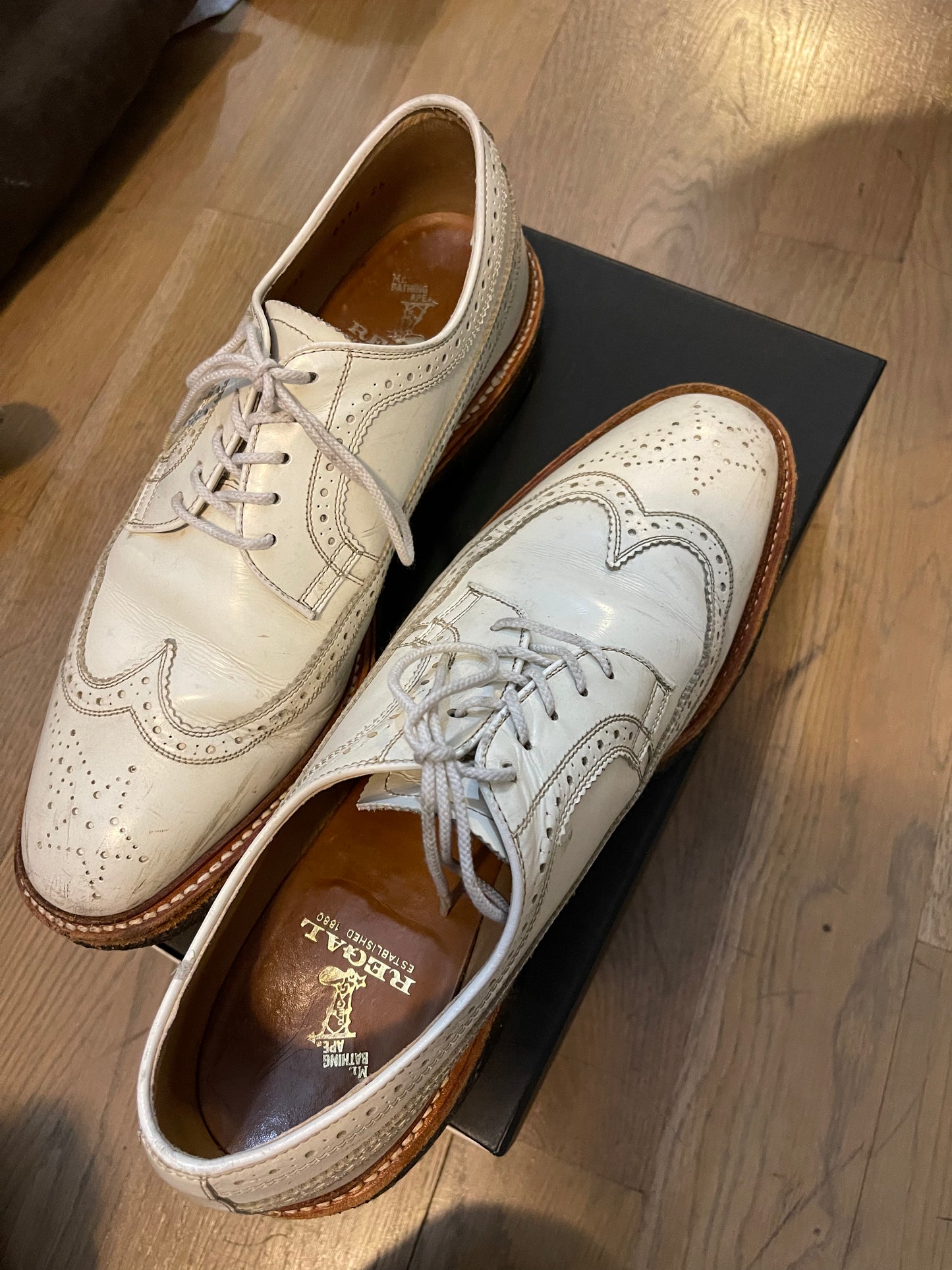 Bape regal derby
