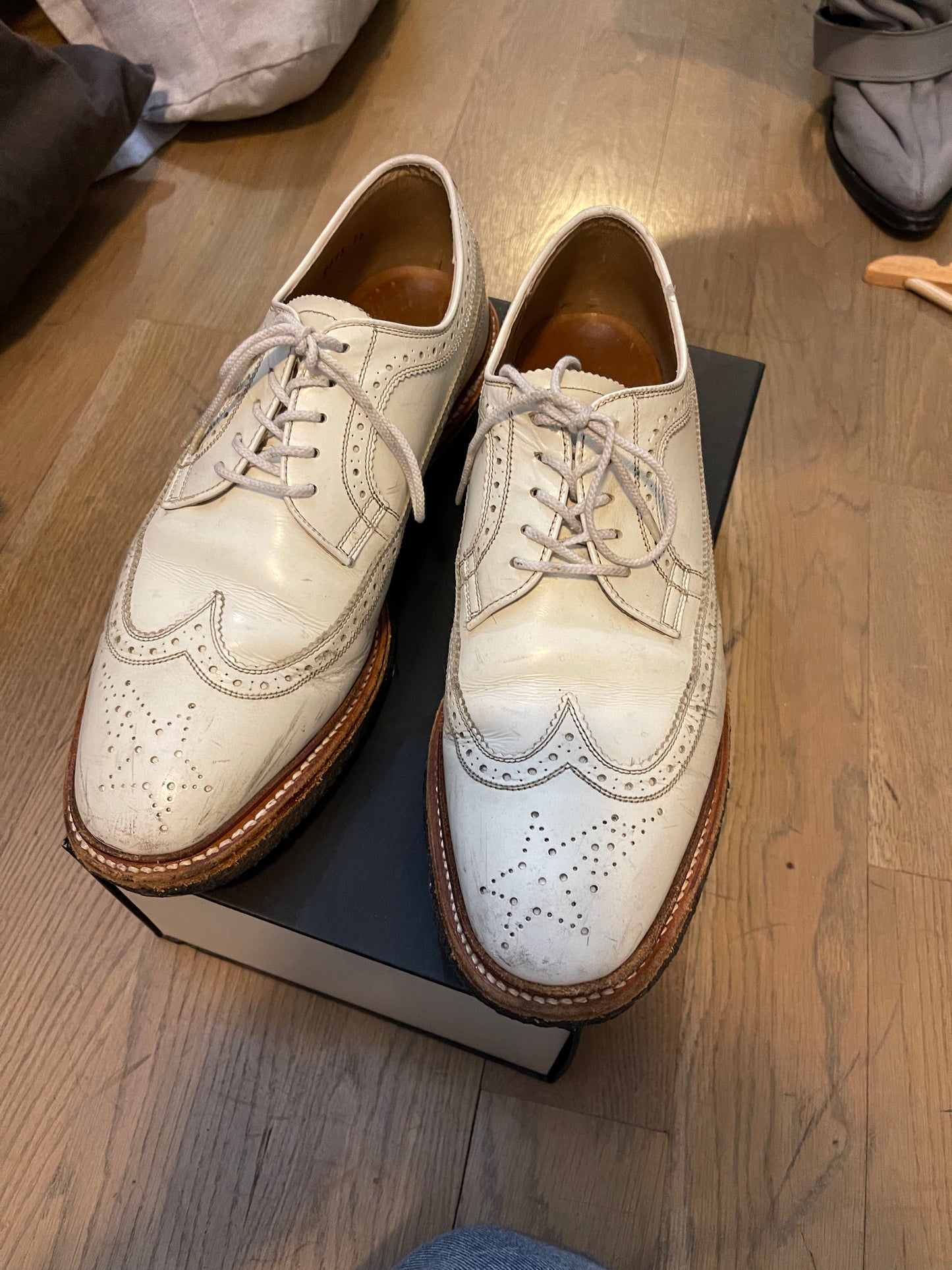 Bape regal derby