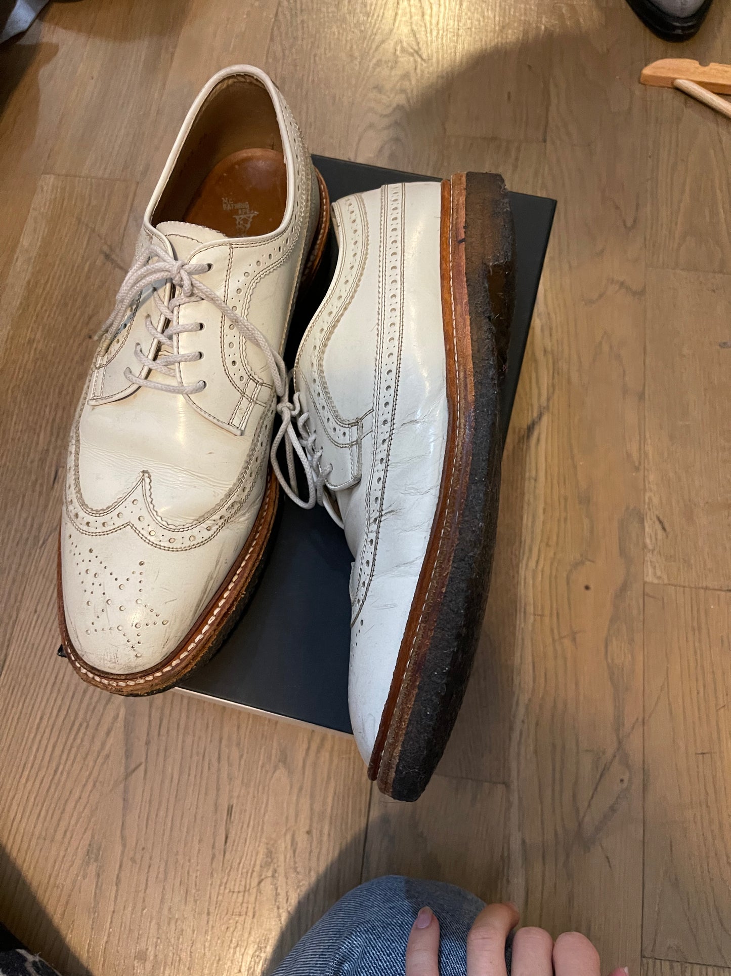 Bape regal derby