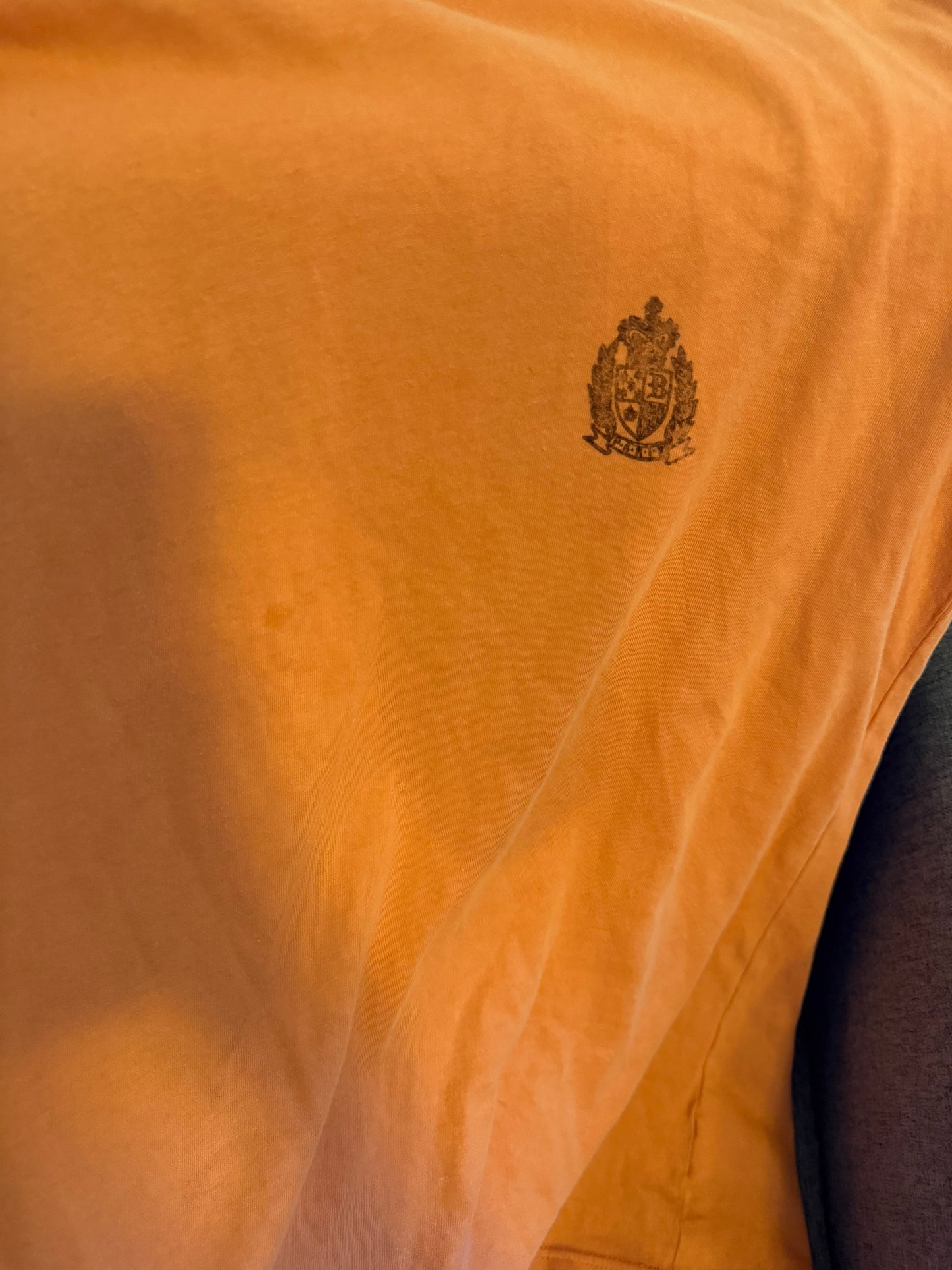 Balmain AW11 crest distressed shirt