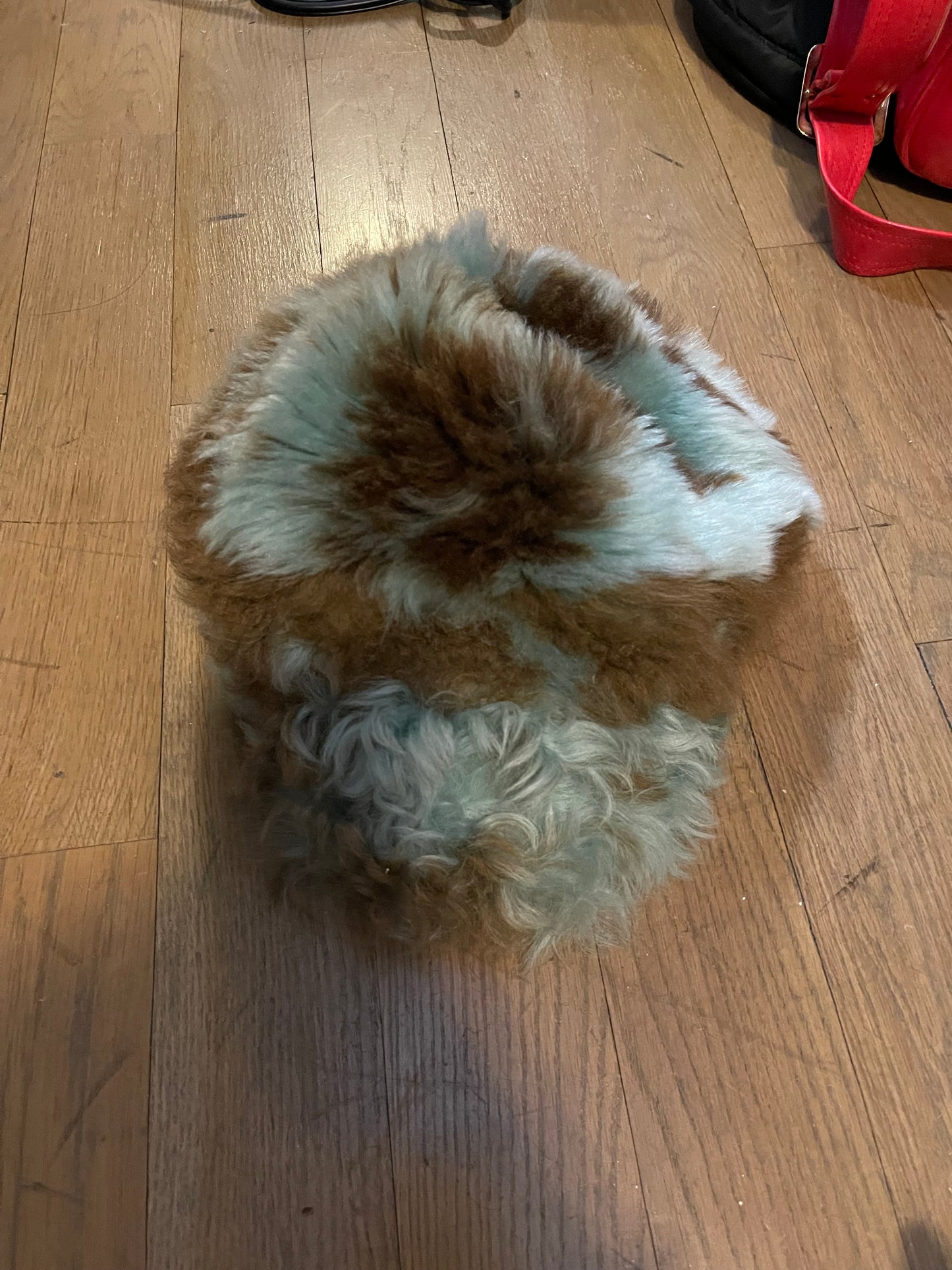 Prada fur newspaper boy hat