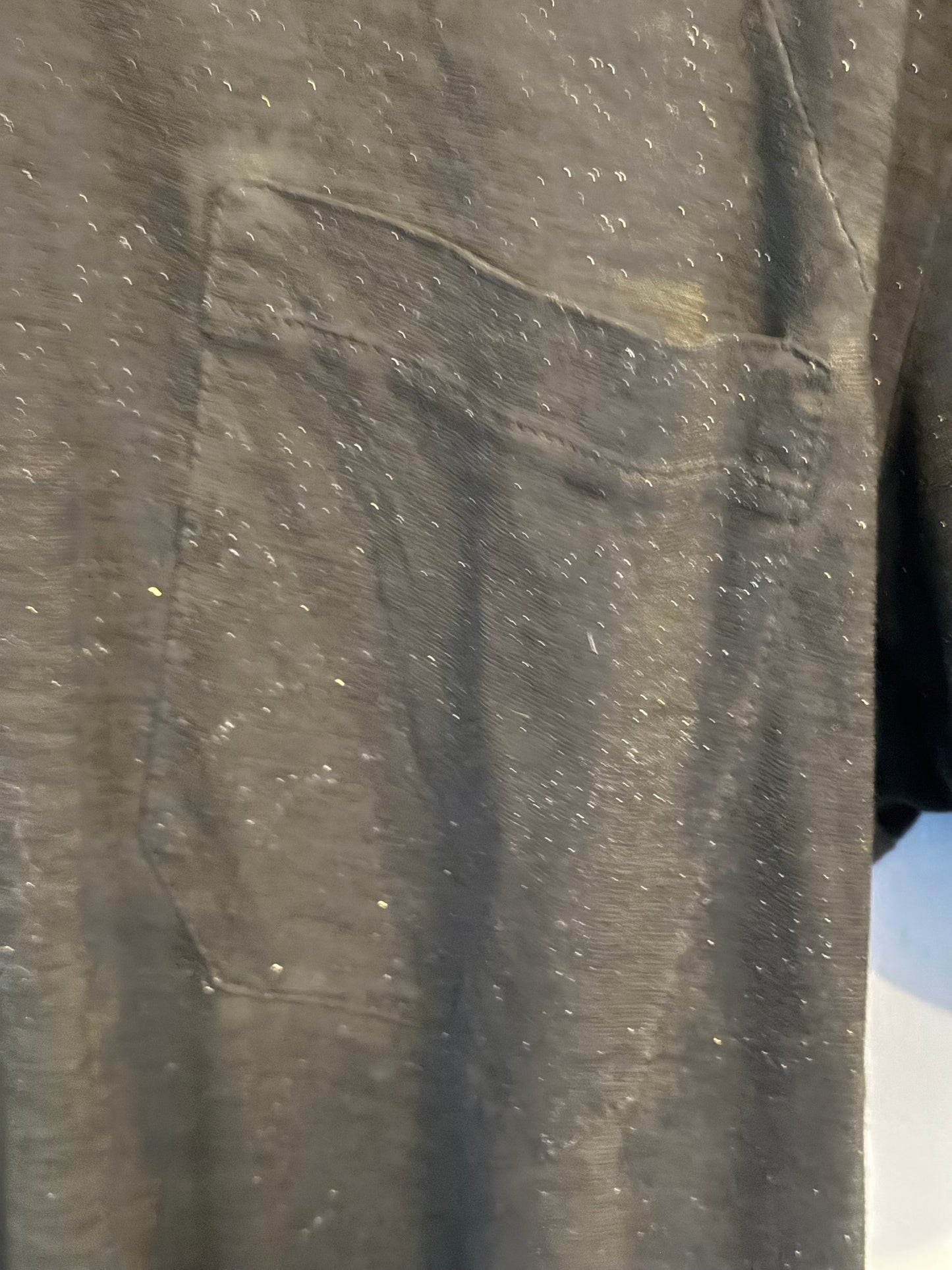 Dior Homme 05AW glitter t shirt